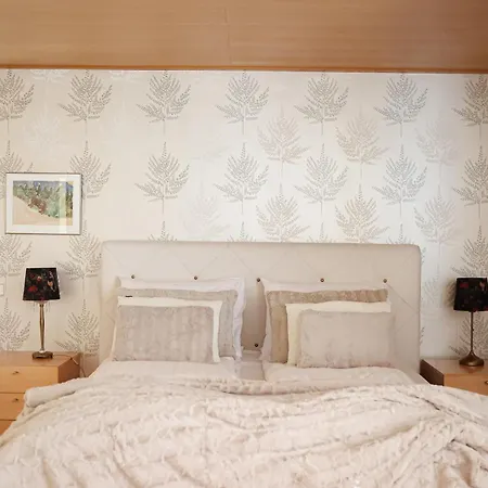 Maison Aho By Alvar Aalto Villa *
