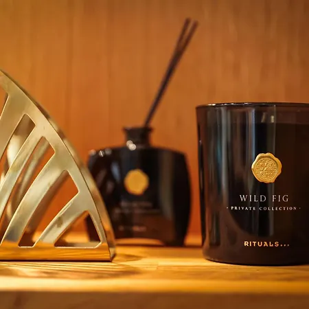 Maison Aho By Alvar Aalto Vila *