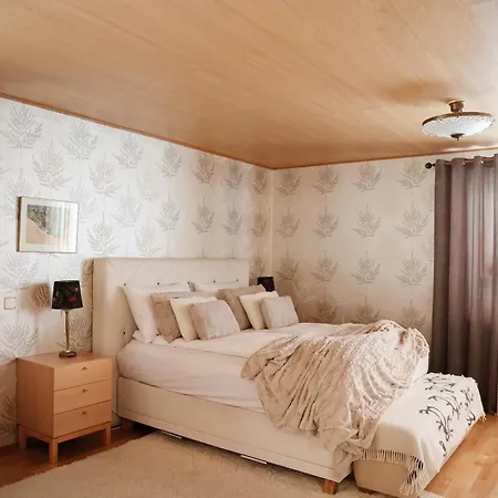 Maison Aho By Alvar Aalto Villa